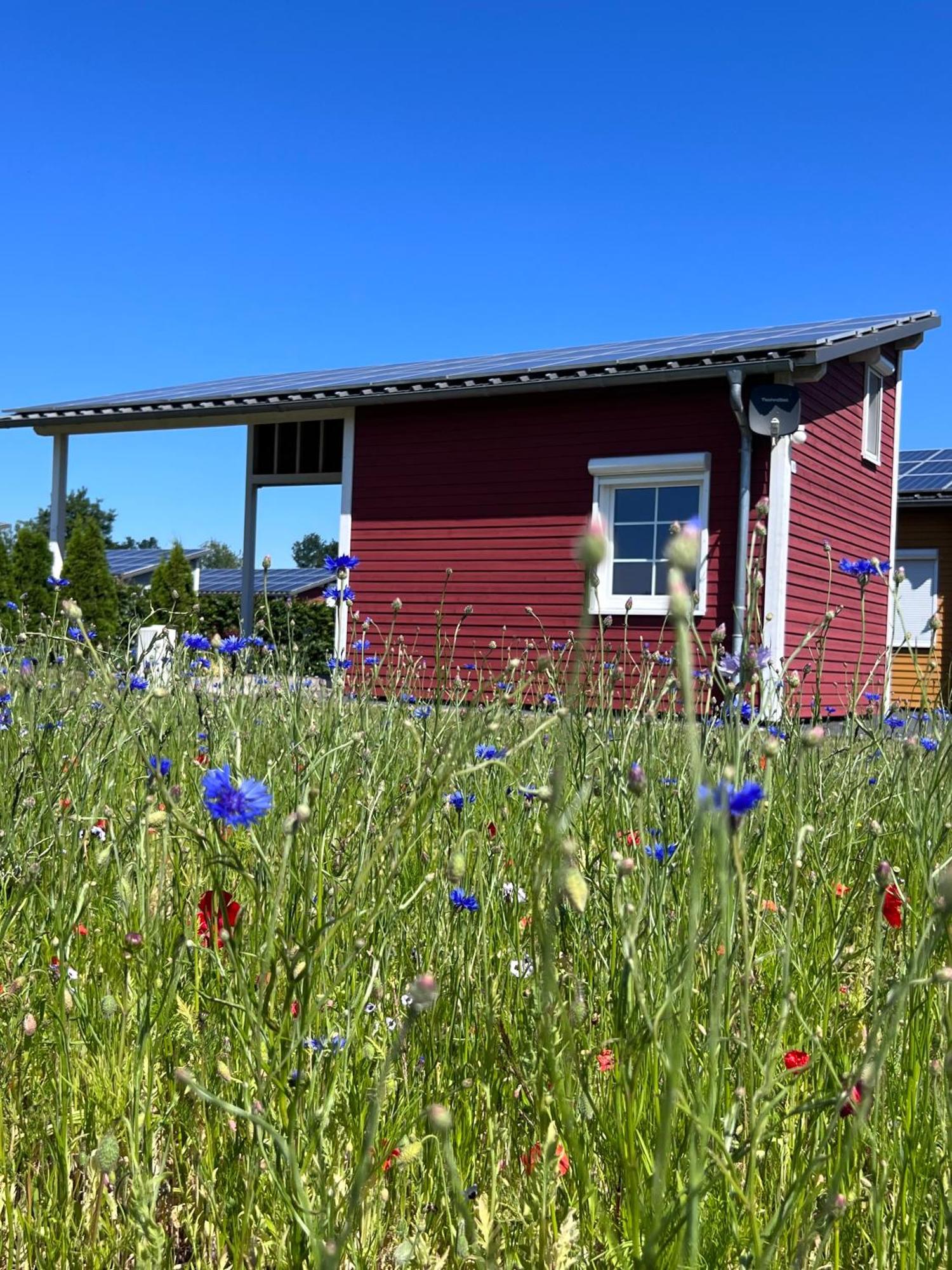 ホテル Emsland-Camp Haar  エクステリア 写真